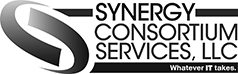 Synergy Consortium Services