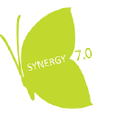 Synergy 7.0 - Consulenza Manageriale Direzionale