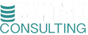 Syntax Consulting