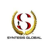 Syntesis Global