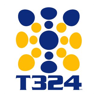 T324