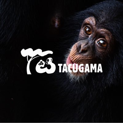 Tacugama Chimpanzee Sanctuary