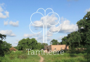 Tamneere