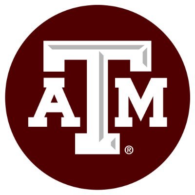Center for New Ventures and Entrepreneurship at Texas A&M