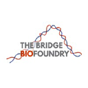 The Bridge Biofoundry