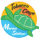 Tobacco Caye Marine Station