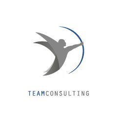 Team Consulting