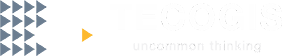 Tecogis