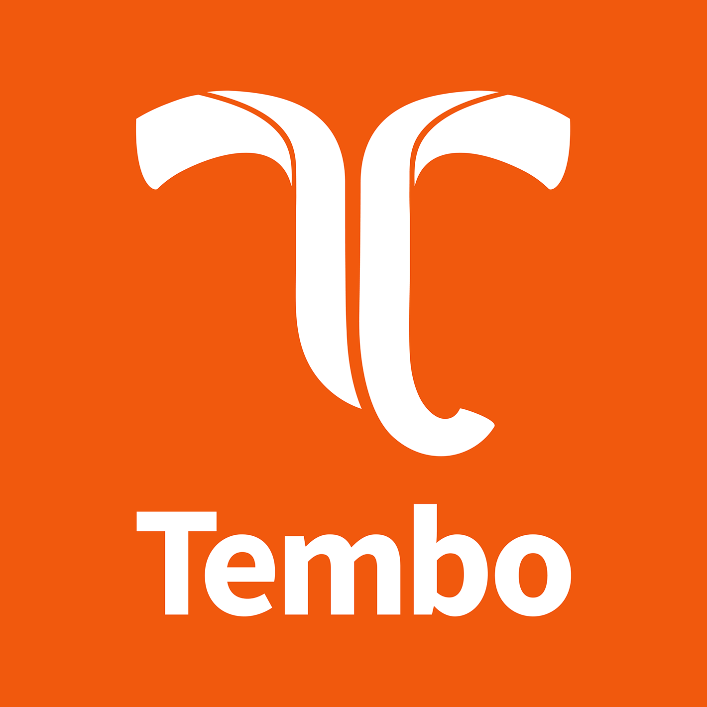 TEMBOGROUP