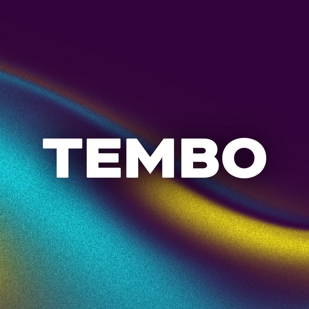 Tembo SRL