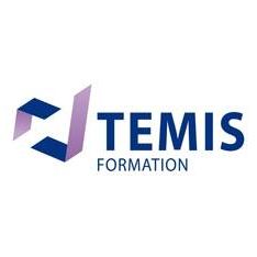 Temis Formation