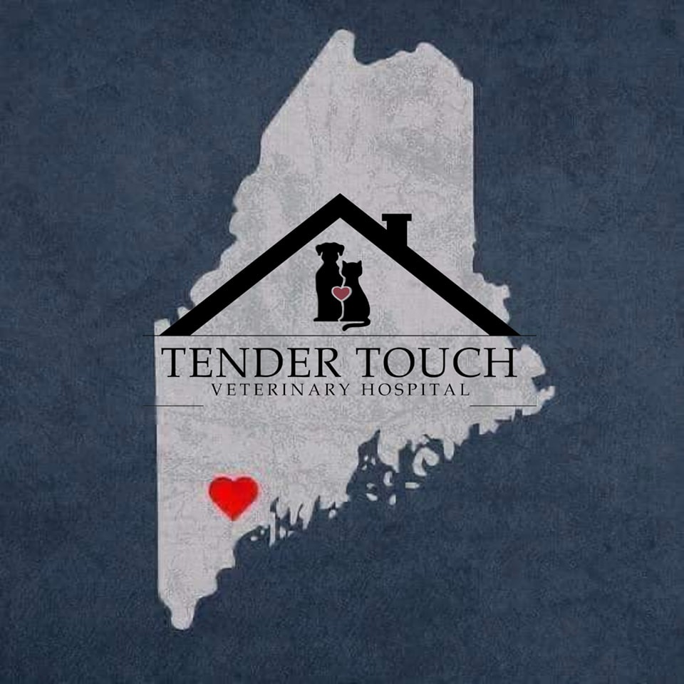 Tender Touch Veterinary Hospital