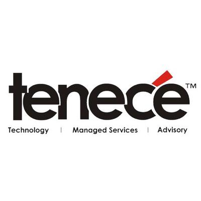 Tenece Professional Services