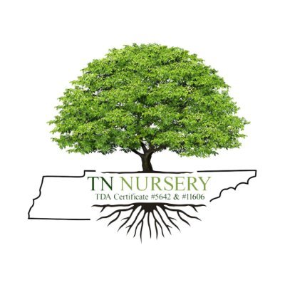 Tennessee Wholesale Nursery