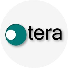 Tera Consulting