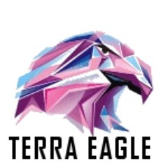 Terra Eagle Capital Investment