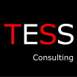 TESS Consulting
