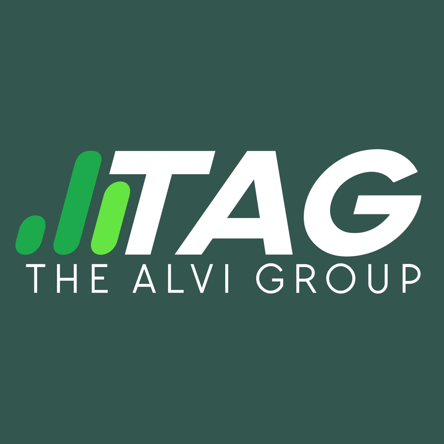 The Alvi Group