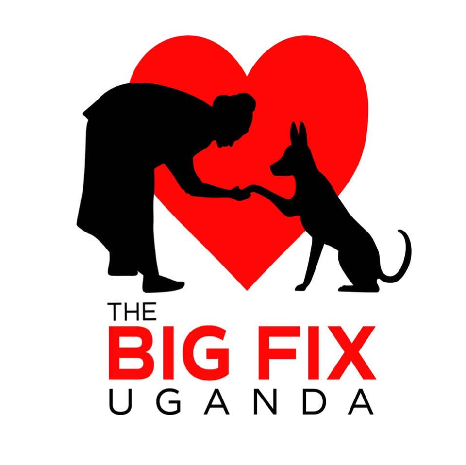 The BIG FIX Uganda