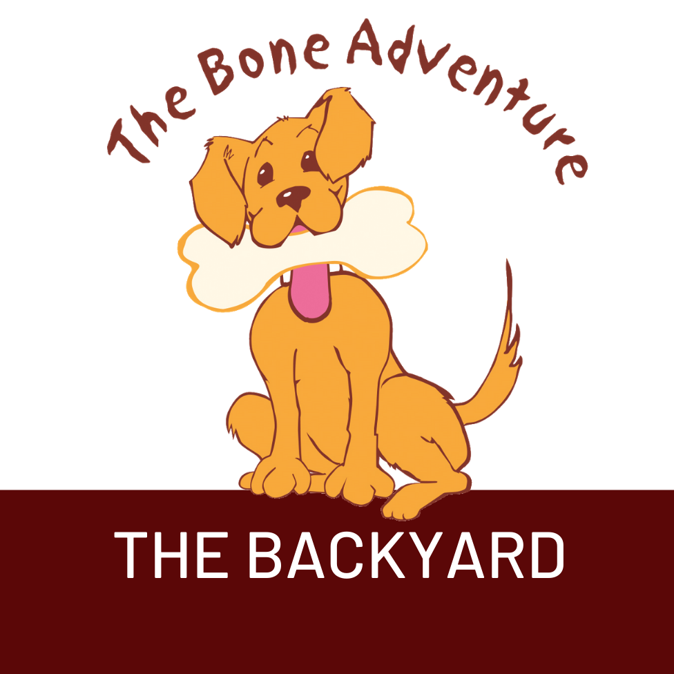 The Bone Adventure