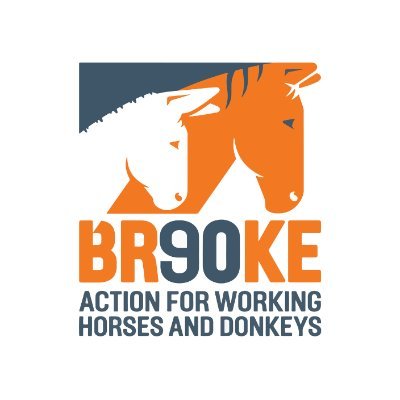 Brooke Hospital For Animals