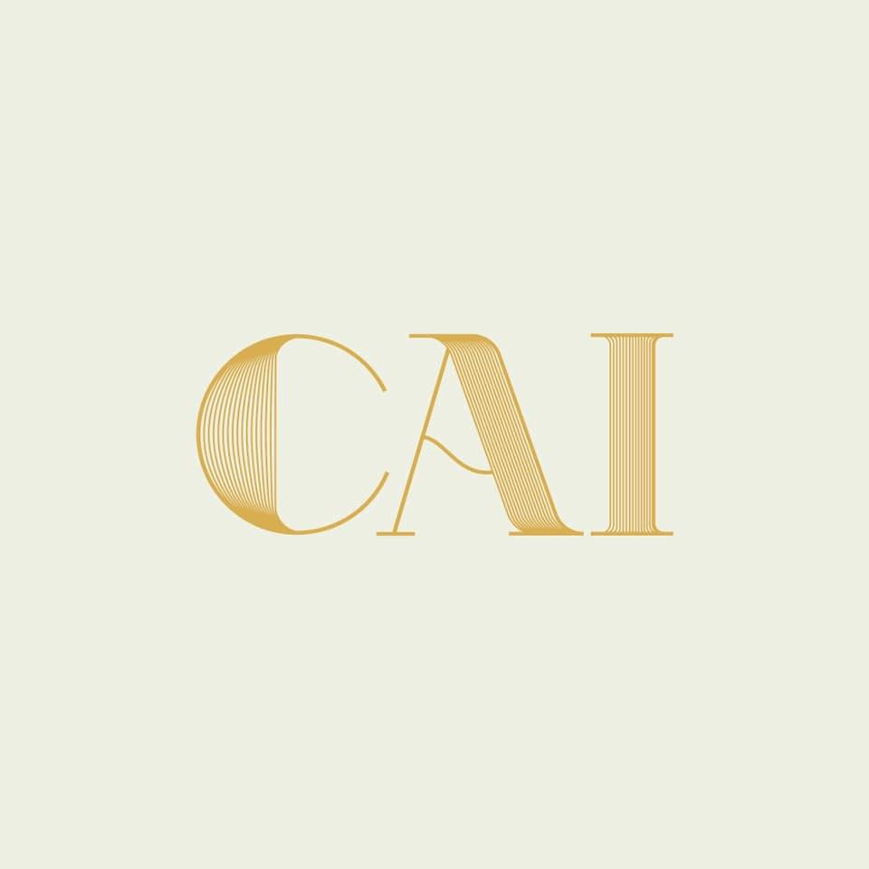 The CAI Store