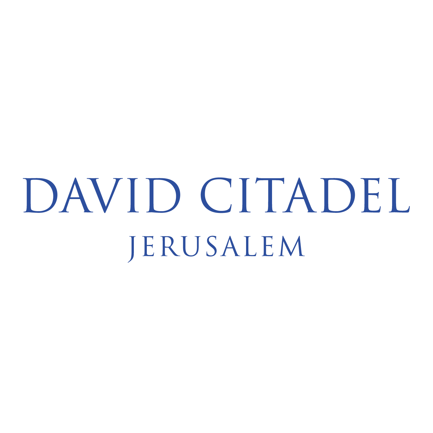 David Citadel Hotel