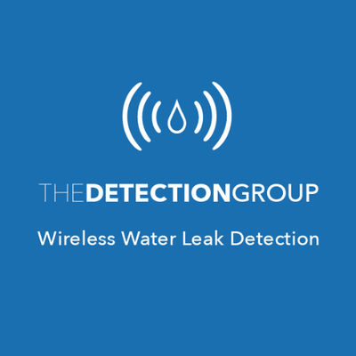 The Detection Group