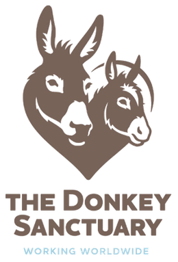 The Donkey Sanctuary