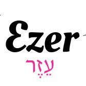 The Ezer Agency