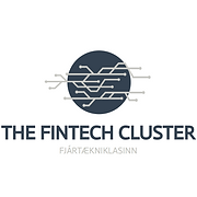 The Fintech Cluster