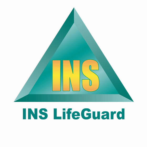 The INS Group