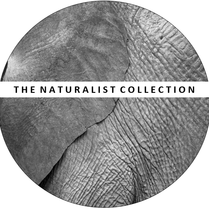 Batis Birding Safaris T/A The Naturalist Collection