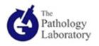 The Pathology Laboratory