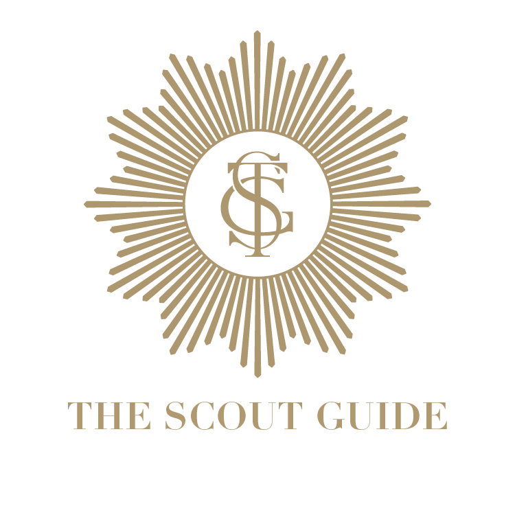 Scout Guide