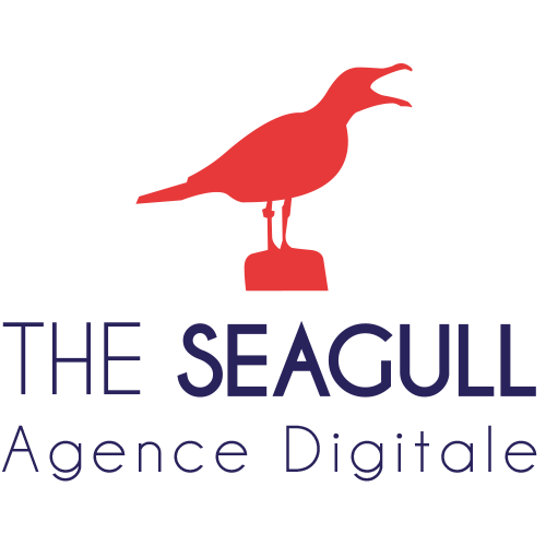 The Seagull