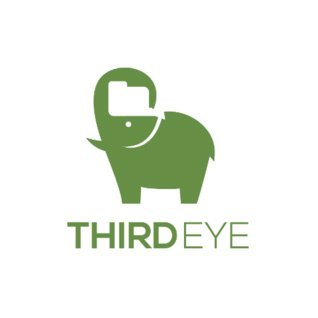 ThirdEye Data