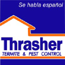 Thrasher Termite