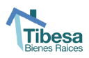 Tibesa Realty