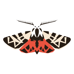 Tigermoth Creative