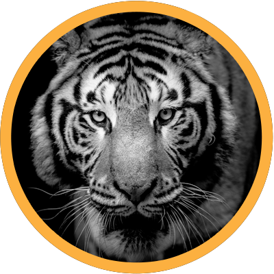 TigerRisk Partners