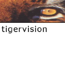 Tigervision