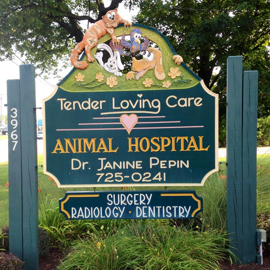 Tender Loving Care Animal Hospital