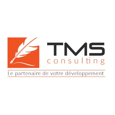 Tms Consulting