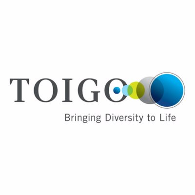 The Robert Toigo Foundation