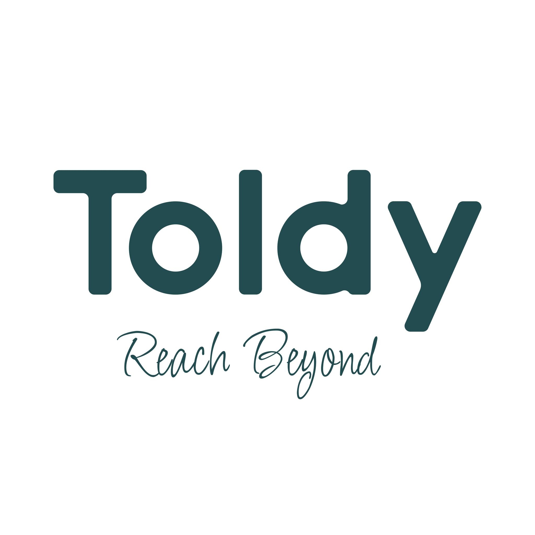 Toldy