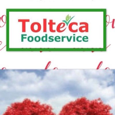 Tolteca Foods