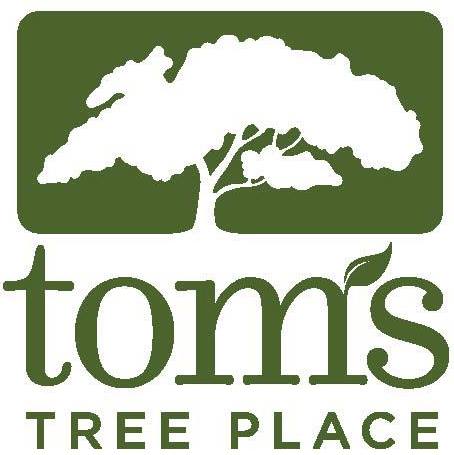 Tom's Tree Place