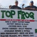 Top Frog DIESEL - N - GAS