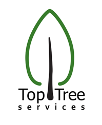 Top Tree Services